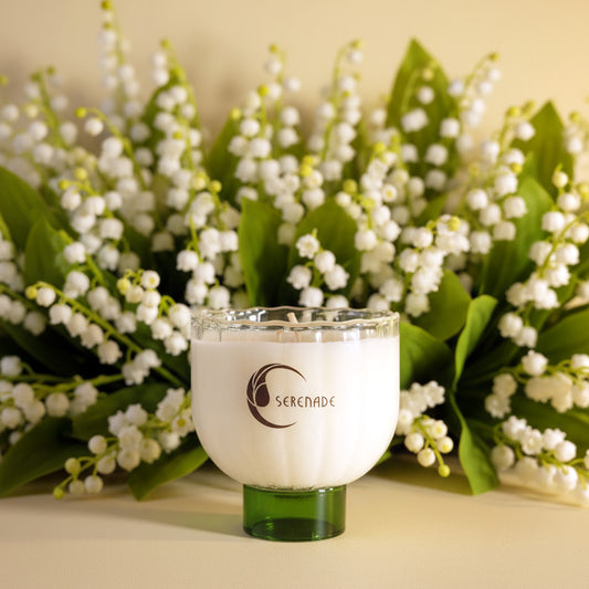 WHITEBELLS SERENADE‧鈴蘭夢曲