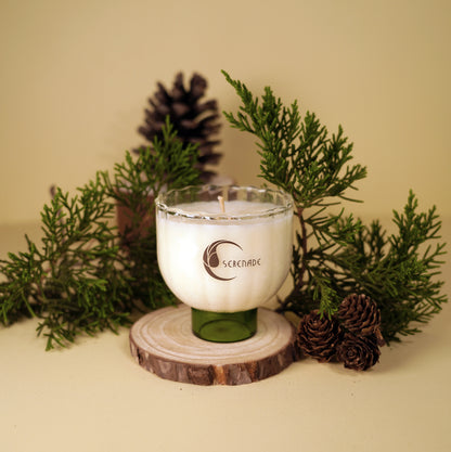 FOREST WALK‧Walking in the Forest