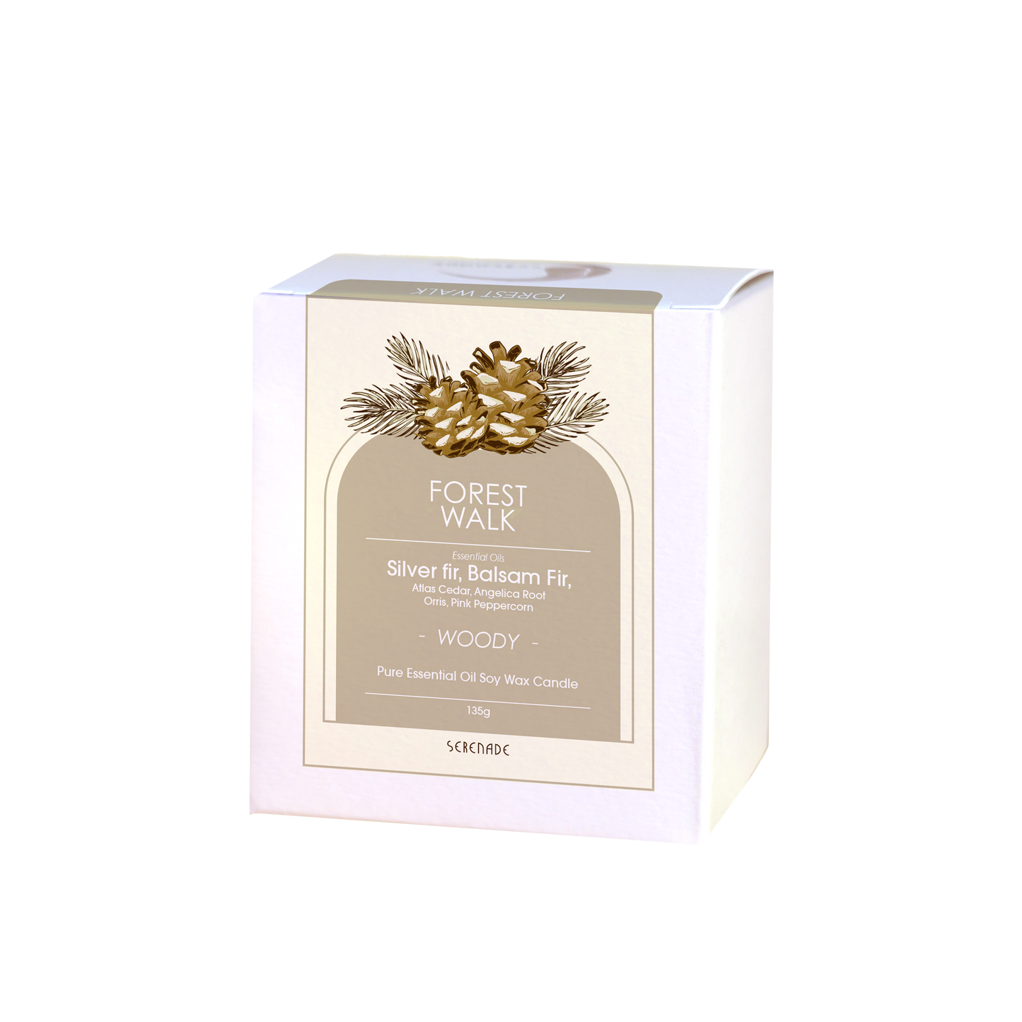 FOREST WALK‧Walking in the Forest